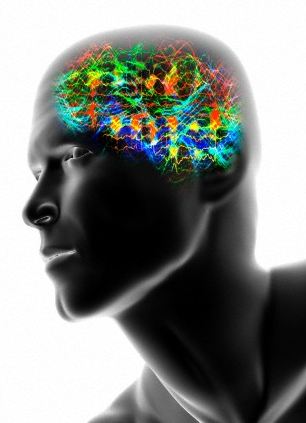 Human head with brainwaves