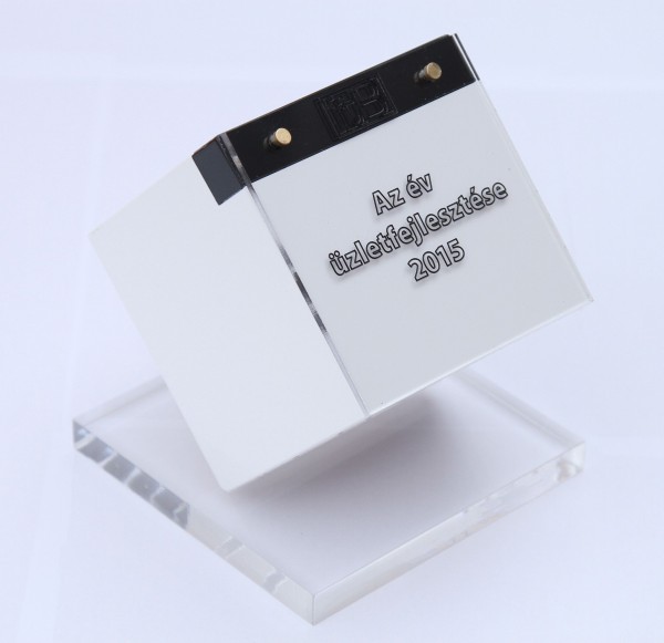 Invitel_Az_ev_uzletfejlesztese_dij