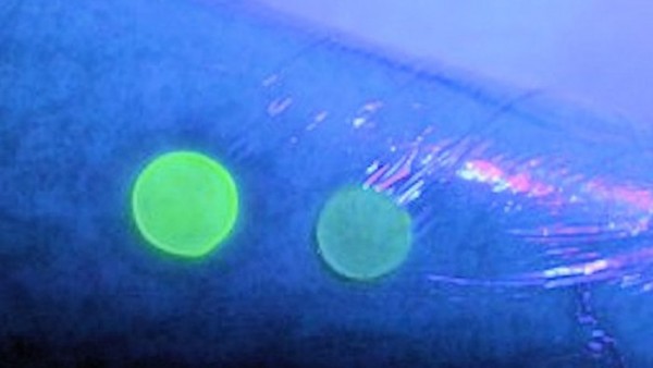 medical-dressing-toxic-shock-syndrome-bath-nanocapsules