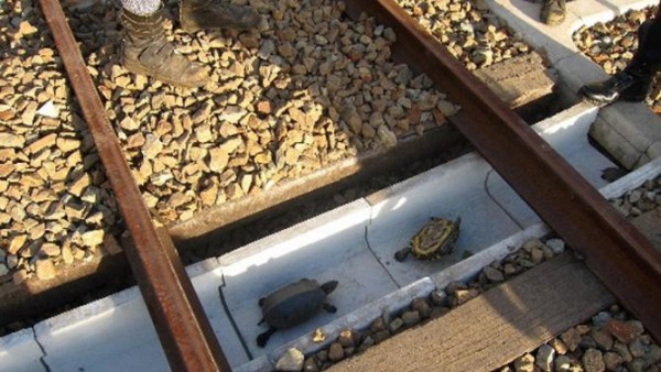 Part-HKG-Hkg10235084-1-1-0