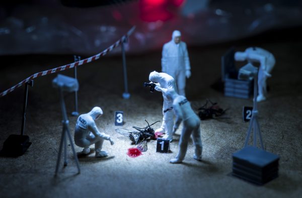 petercsakvari_hungary_nationalawards_2017_x_flys