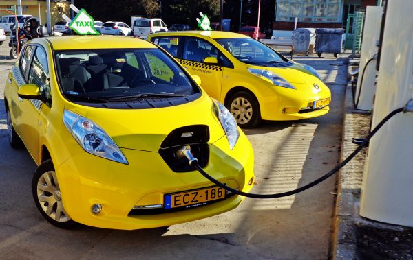 leaftaxi5