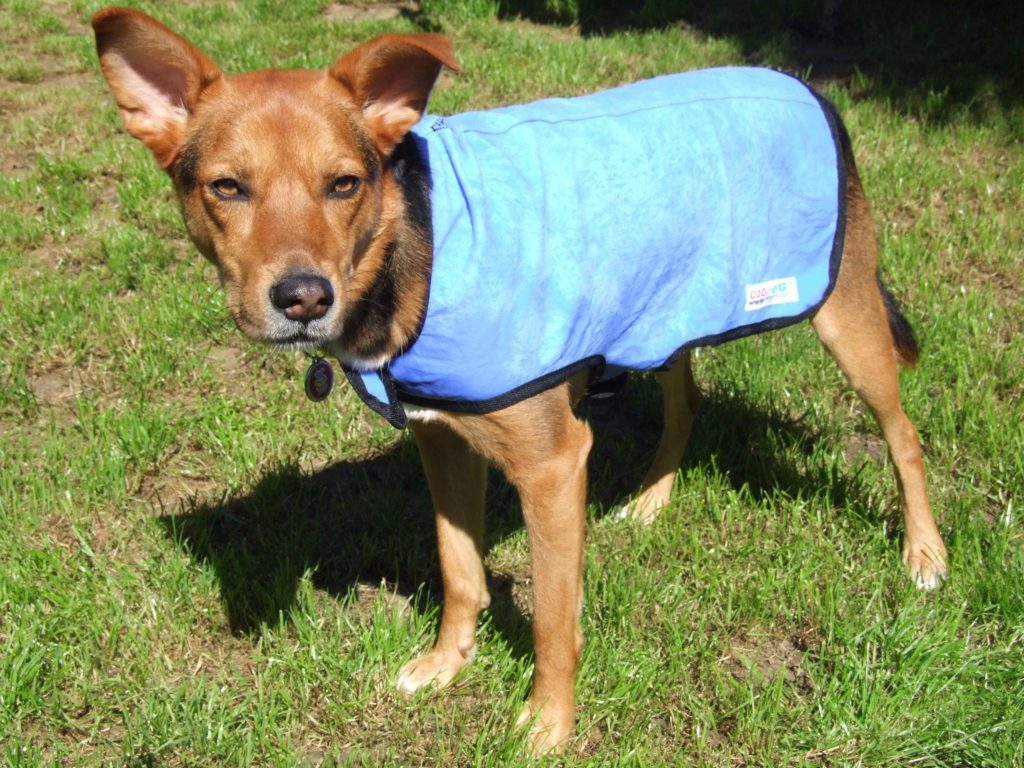 cool-coat-george-large