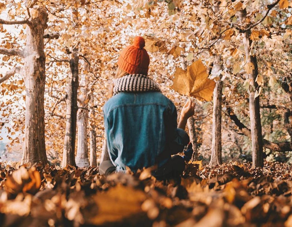 travel-asia-autumn-fall-foliage-hero