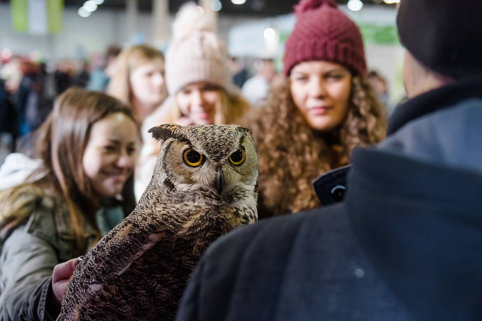 educatio2019_pluszlatogato