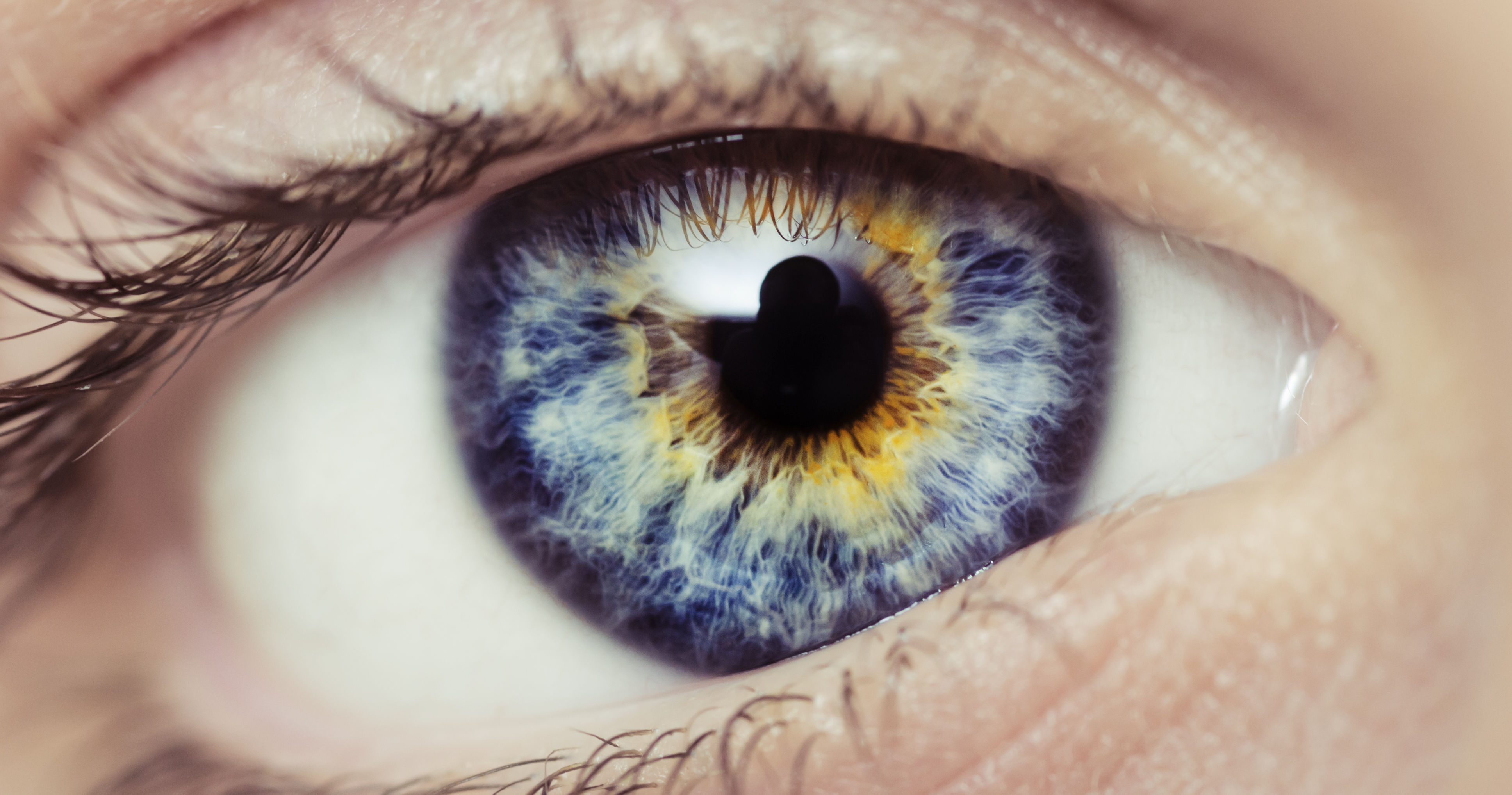 Глаз р. Гетерохромный иридоциклит Фукса гетерохромия. Центральная гетерохромия карих глаз. Глаз человека. Синие глаза.