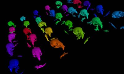 zeiss komputertomográfia