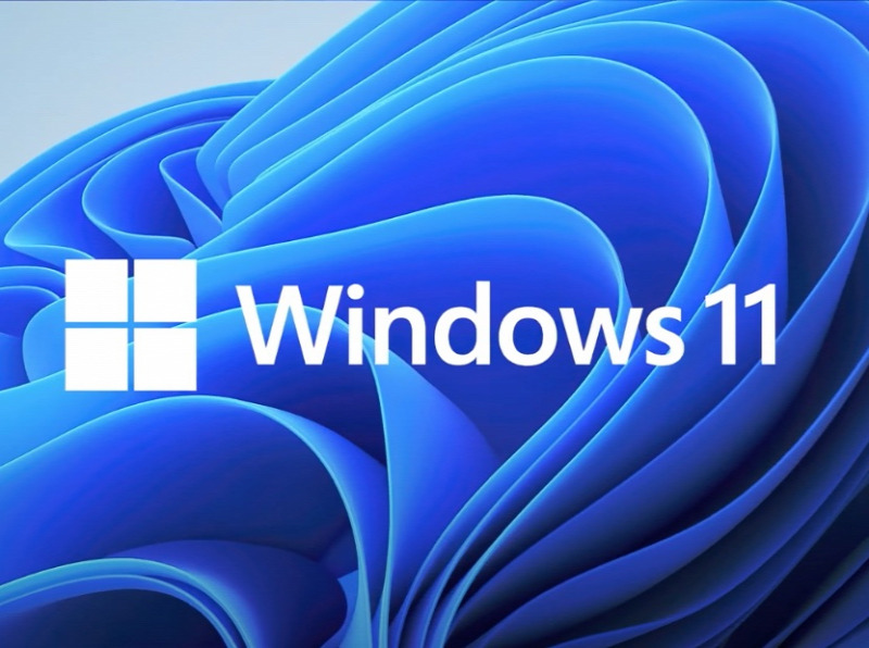 windows 11