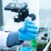 labor tisztatéri technológia