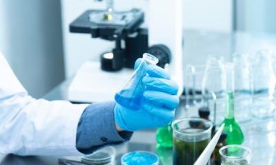 labor tisztatéri technológia