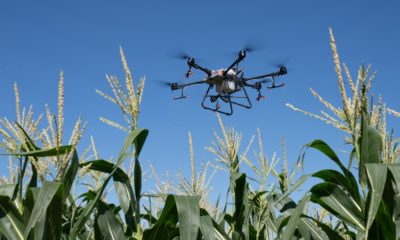 mezőgazdasági drónpilóta képzés légtér