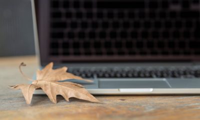 refurbished Felújított vagy használt laptop